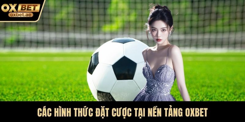 Các hình thức đặt cược tại nền tảng OXBET