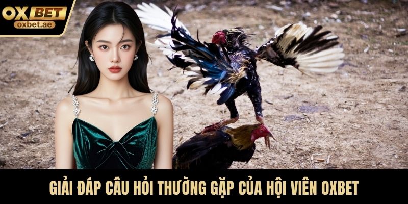 Giải đáp câu hỏi thường gặp của hội viên OXBET