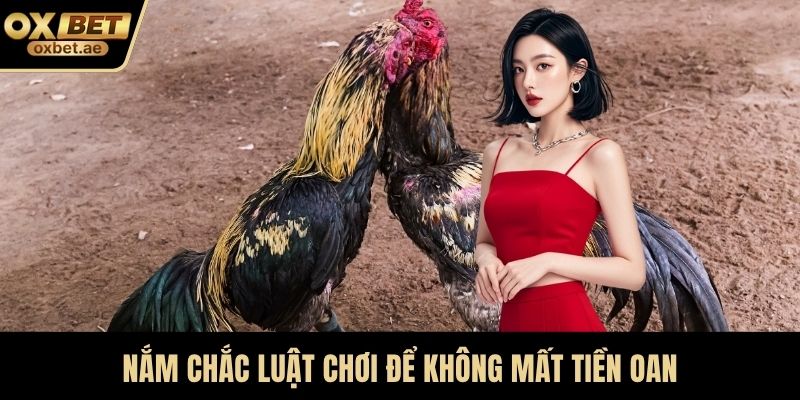 Nắm chắc luật chơi để không mất tiền oan