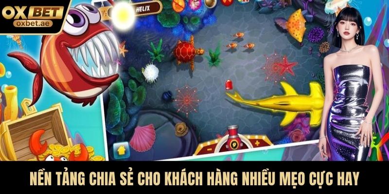 Nền tảng chia sẻ cho khách hàng nhiều mẹo cực hay
