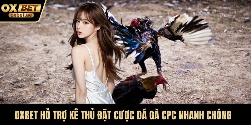 OXBET hỗ trợ kê thủ đặt cược Đá gà CPC nhanh chóng
