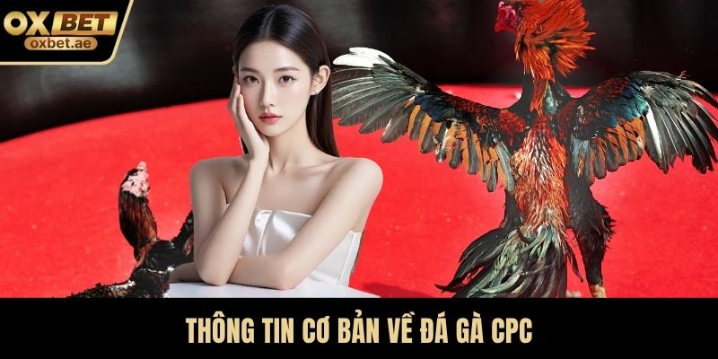Thông tin cơ bản về Đá gà CPC
