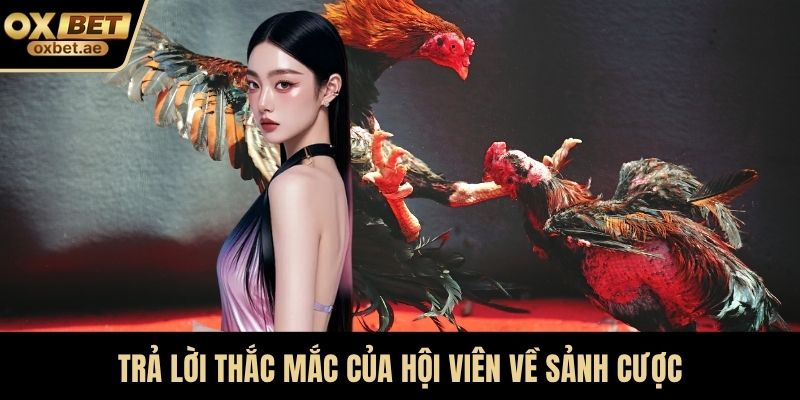 Trả lời thắc mắc của hội viên về sảnh cược